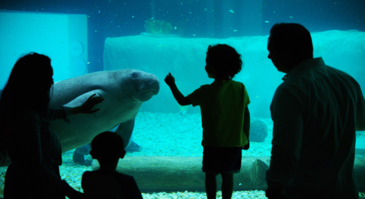 Bradenton Gulf Island The Bishop Museum of Science and Nature