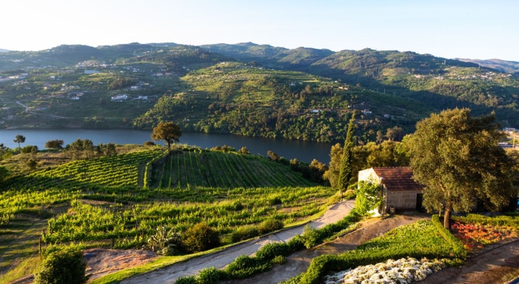Portugal Duoro Weinberge Foto iStock Paulo Resende