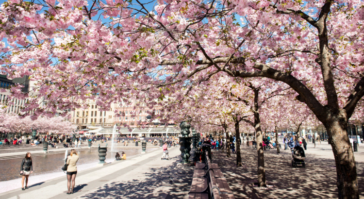 Ameropa Schweden Frühling Foto Cecilia Larsson imagebank sweden.jpg