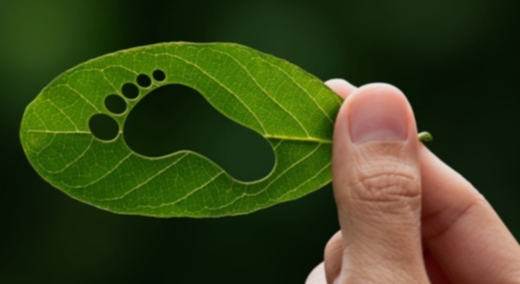 co2 Fußabdruck Klimaschutz iStock Thx4Stock.jpg