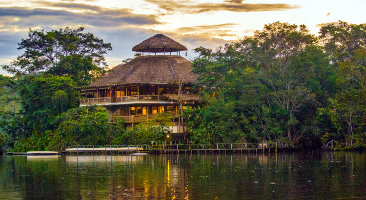 Ecuador La Selva Lodge Yasuní-Nationalpark Foto Galapagos PRO.jpg