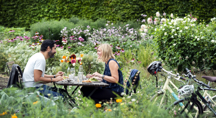 Ameropa Schweden Blumenwiese Foto Visit Sweden Anna Hållam.jpg