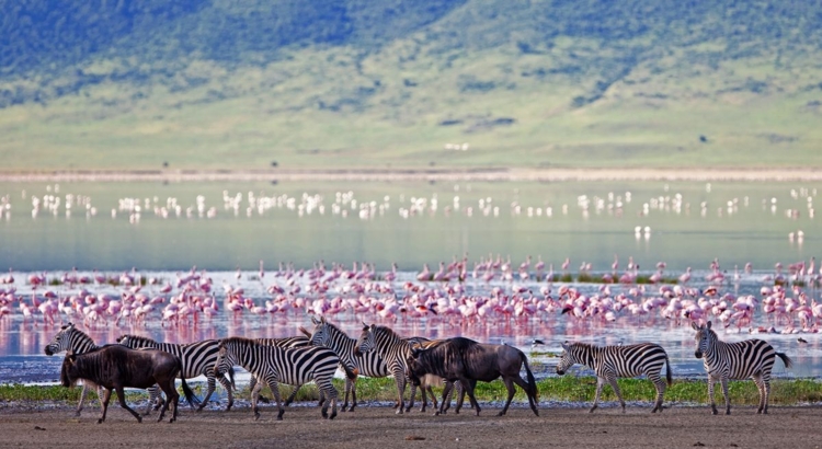 Tansania Ngorongo Krater Foto iStock Palenque