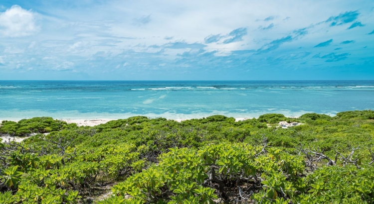 Seychellen Cosmoledo Foto iStock Nancy Pauwels