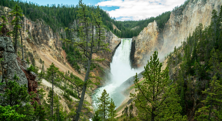 Grand Canyon of Yellowstone USA