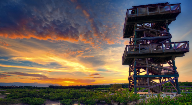 Bradenton Gulf Island Robinson Preserve Tower