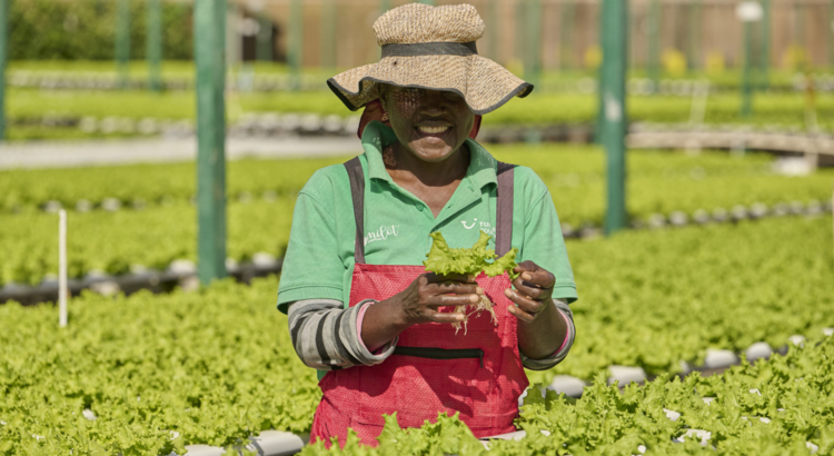 TUI Field to Fork Cape Verde