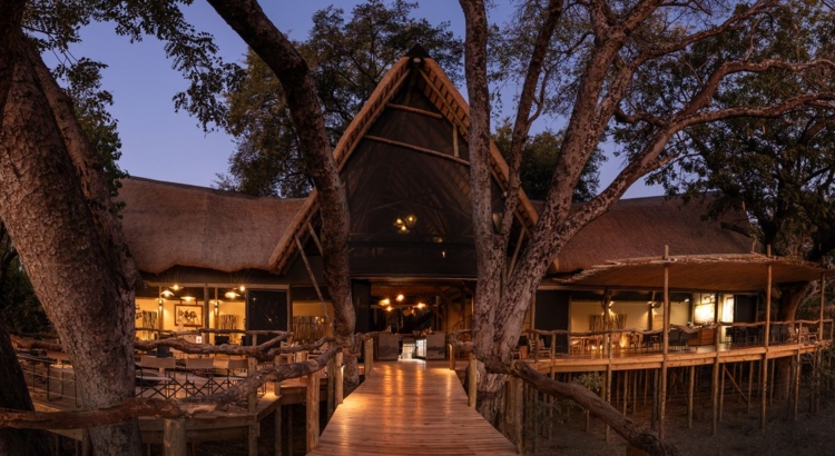 Tubu Tree Botswana Foto Wilderness