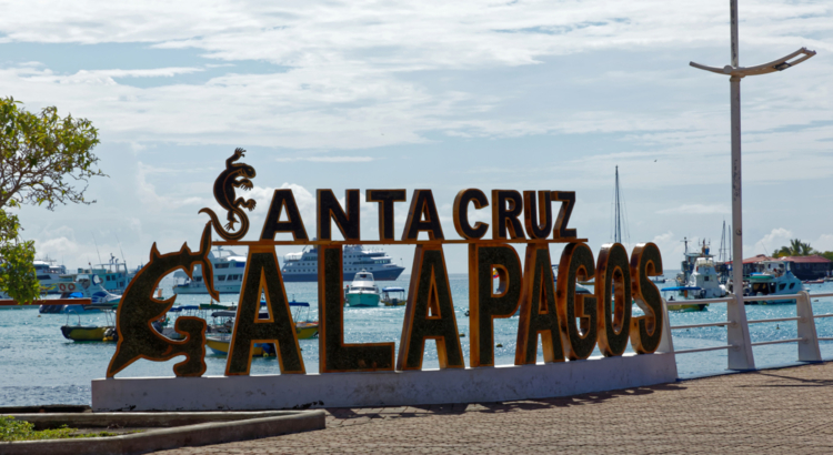 Ecuador Galapagos Hafen von Puerto Ayora auf Santa Cruz