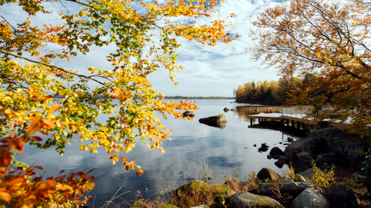 Ameropa Schweden Herbst Foto Alexander Hall imagebank sweden.jpg