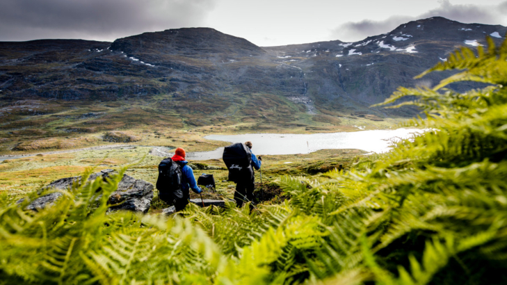 Ameropa Wandern Schweden Foto Carl-Johan Utsi Imagebank Sweden.jpg