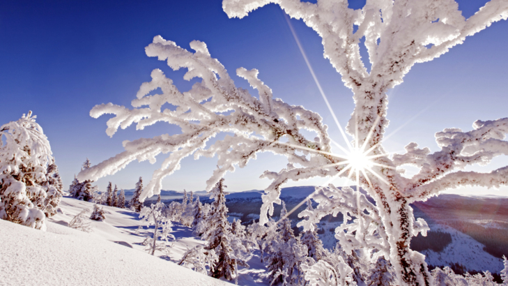 Ameropa Schweden Winter  Foto Niclas Vestefjell imagebank sweden.jpg